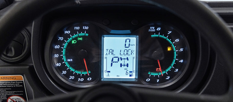 aodes pathcross analogue gauges
